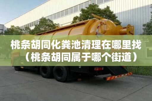 桃条胡同化粪池清理在哪里找（桃条胡同属于哪个街道）