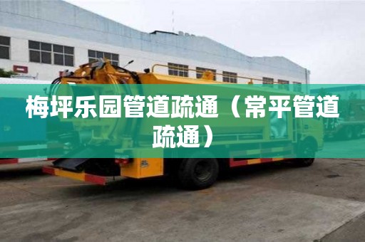 梅坪乐园管道疏通（常平管道疏通）