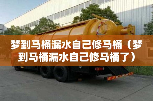 梦到马桶漏水自己修马桶（梦到马桶漏水自己修马桶了）