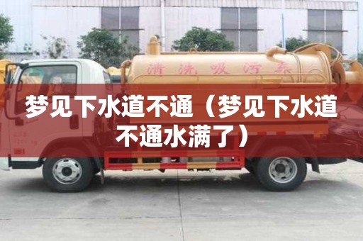 梦见下水道不通（梦见下水道不通水满了）