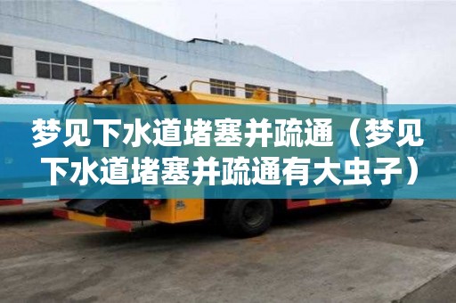 梦见下水道堵塞并疏通（梦见下水道堵塞并疏通有大虫子）