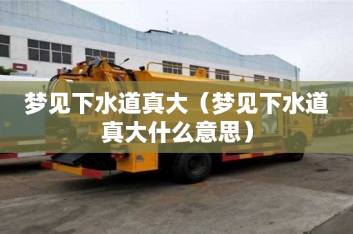 梦见下水道真大（梦见下水道真大什么意思）