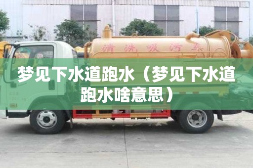 梦见下水道跑水（梦见下水道跑水啥意思）