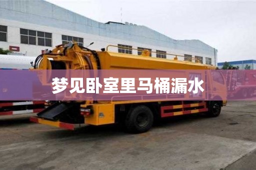 梦见卧室里马桶漏水