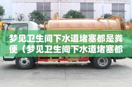 梦见卫生间下水道堵塞都是粪便（梦见卫生间下水道堵塞都是粪便什么意思）