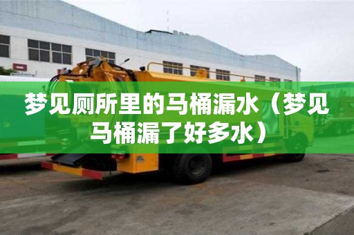 梦见厕所里的马桶漏水（梦见马桶漏了好多水）