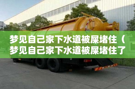 梦见自己家下水道被屎堵?。渭约杭蚁滤辣皇憾伦×耍? title=