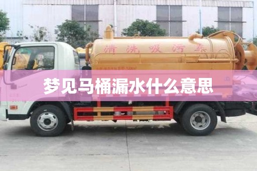 梦见马桶漏水什么意思