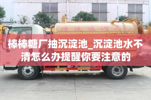 棒棒糖厂抽沉淀池_沉淀池水不清怎么办提醒你要注意的