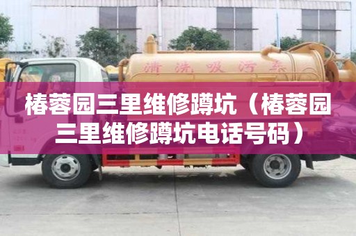 椿蓉园三里维修蹲坑（椿蓉园三里维修蹲坑电话号码）