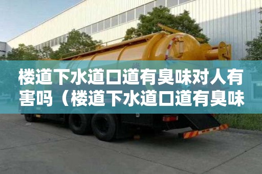 楼道下水道口道有臭味对人有害吗(楼道下水道口道有臭味对人有害吗视频) 楼道下水道口道有臭味对人有害吗(楼道下水道口道有臭味对人有害吗视频)