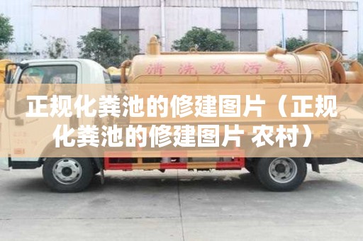 正规化粪池的修建图片（正规化粪池的修建图片 农村）