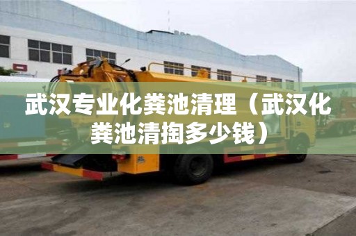 武汉专业化粪池清理（武汉化粪池清掏多少钱）