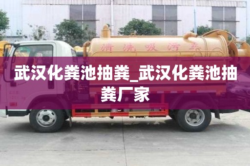 武汉化粪池抽粪_武汉化粪池抽粪厂家