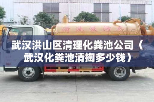 武汉洪山区清理化粪池公司（武汉化粪池清掏多少钱）