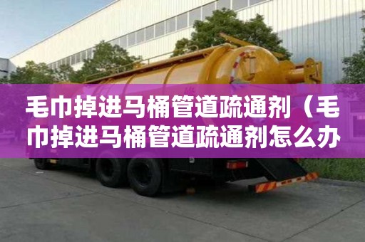 毛巾掉进马桶管道疏通剂（毛巾掉进马桶管道疏通剂怎么办）
