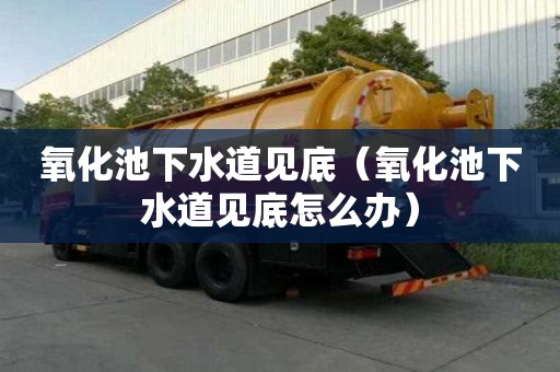 氧化池下水道见底（氧化池下水道见底怎么办）