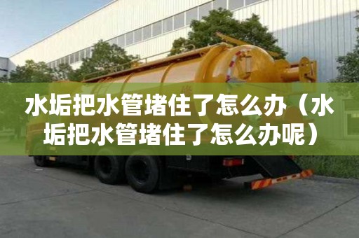 水垢把水管堵住了怎么办（水垢把水管堵住了怎么办呢）