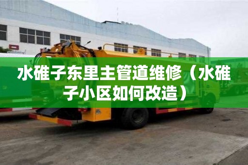 水碓子东里主管道维修（水碓子小区如何改造）
