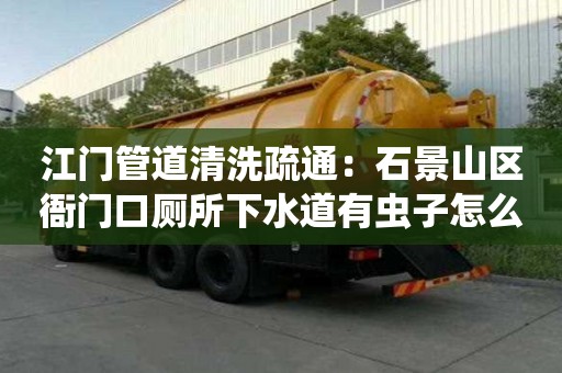 江门管道清洗疏通：石景山区衙门口厕所下水道有虫子怎么处理