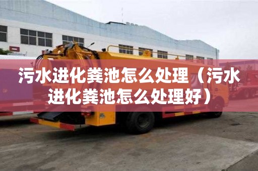 污水进化粪池怎么处理（污水进化粪池怎么处理好）