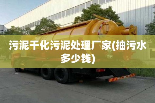 污泥干化污泥处理厂家(抽污水多少钱)