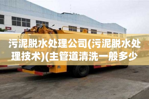 污泥脱水处理公司(污泥脱水处理技术)(主管道清洗一般多少钱)