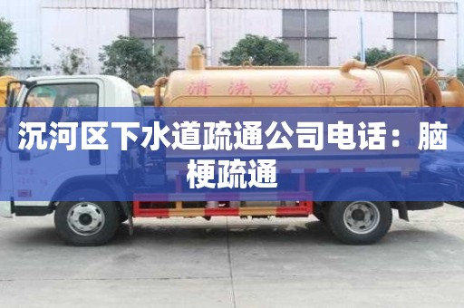 沉河区下水道疏通公司电话：脑梗疏通
