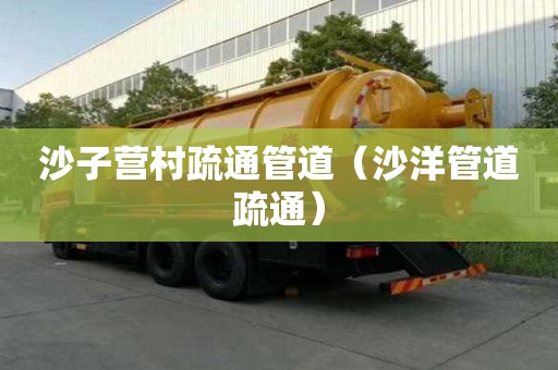 沙子营村疏通管道（沙洋管道疏通）