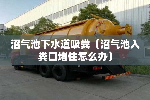 沼气池下水道吸粪（沼气池入粪口堵住怎么办）