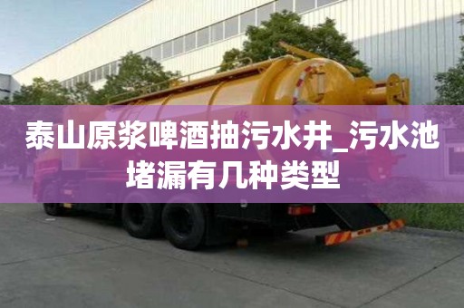 泰山原浆啤酒抽污水井_污水池堵漏有几种类型