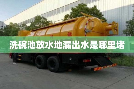 洗碗池放水地漏出水是哪里堵