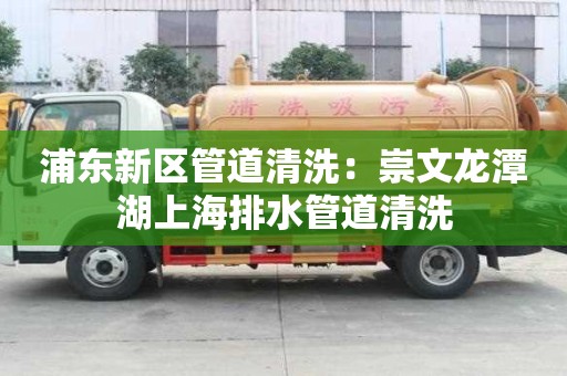 浦东新区管道清洗：崇文龙潭湖上海排水管道清洗