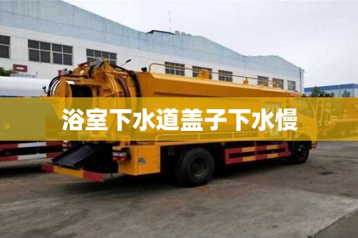 浴室下水道盖子下水慢