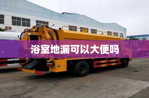 浴室地漏可以大便吗