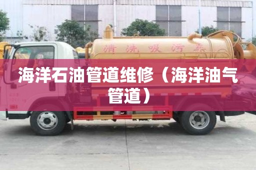 海洋石油管道维修（海洋油气管道）