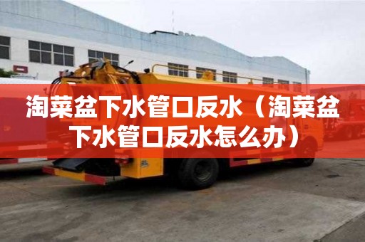 淘菜盆下水管口反水（淘菜盆下水管口反水怎么办）