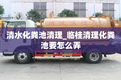 清水化粪池清理_临桂清理化粪池要怎么弄
