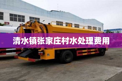 清水镇张家庄村水处理费用