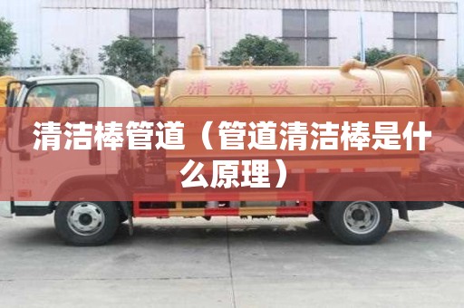 清洁棒管道（管道清洁棒是什么原理）