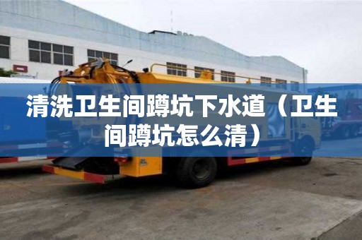 清洗卫生间蹲坑下水道（卫生间蹲坑怎么清）