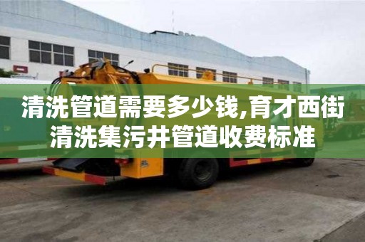 清洗管道需要多少钱,育才西街清洗集污井管道收费标准