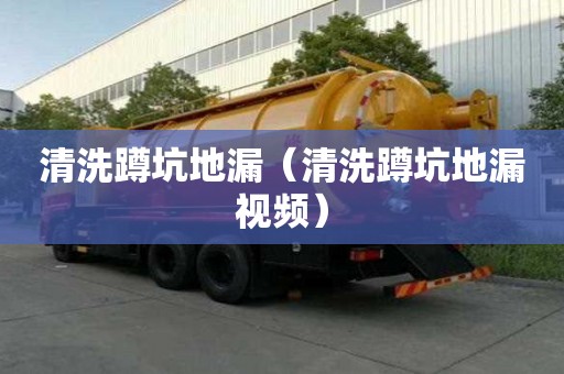 清洗蹲坑地漏（清洗蹲坑地漏视频）