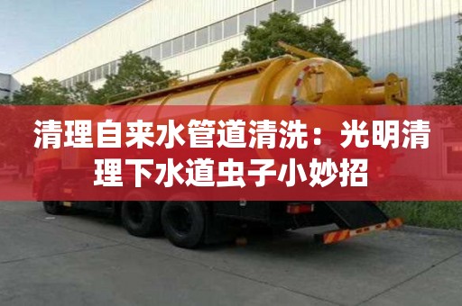 清理自来水管道清洗：光明清理下水道虫子小妙招