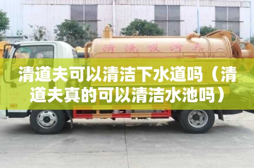 清道夫可以清洁下水道吗（清道夫真的可以清洁水池吗）