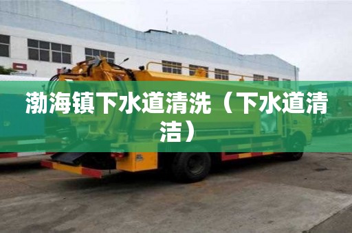 渤海镇下水道清洗（下水道清洁）