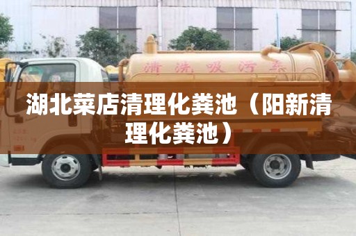 湖北菜店清理化粪池（阳新清理化粪池）
