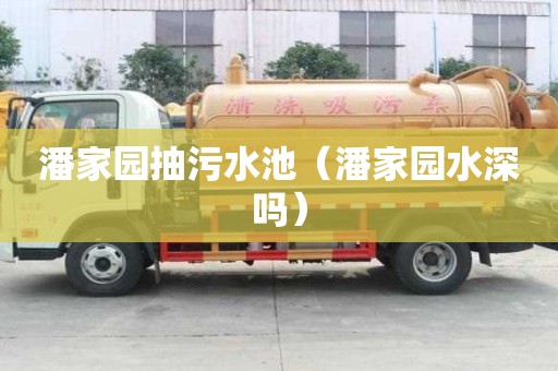 潘家园抽污水池（潘家园水深吗）
