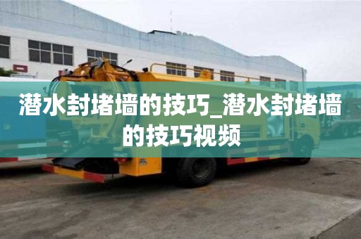 潜水封堵墙的技巧_潜水封堵墙的技巧视频