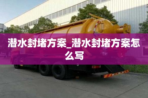 潜水封堵方案_潜水封堵方案怎么写